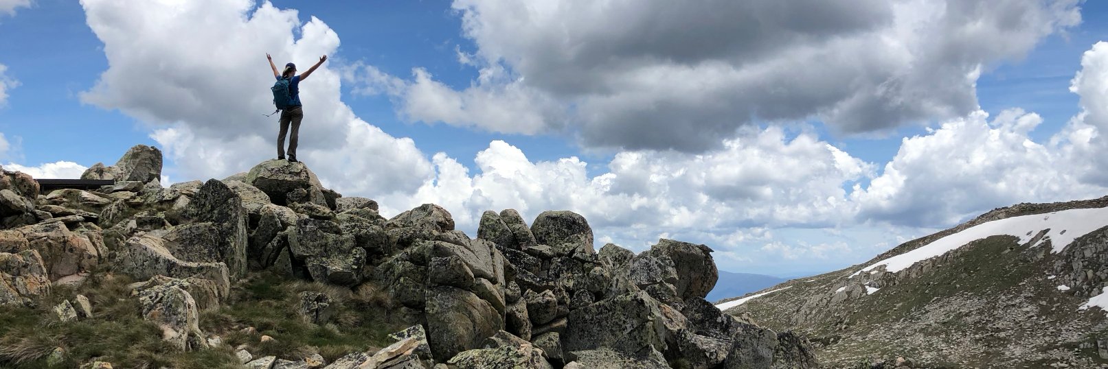 hoffmanndoro's profile banner image