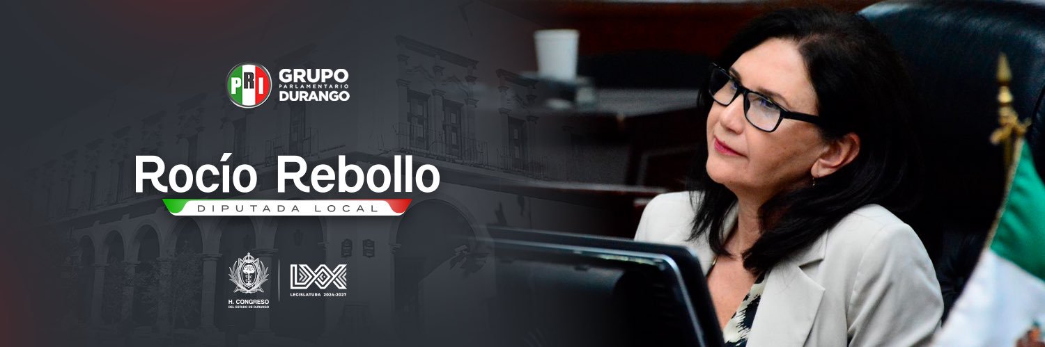 Rocío Rebollo banner
