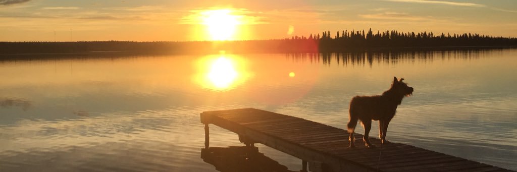 CurlyAlli's profile banner image