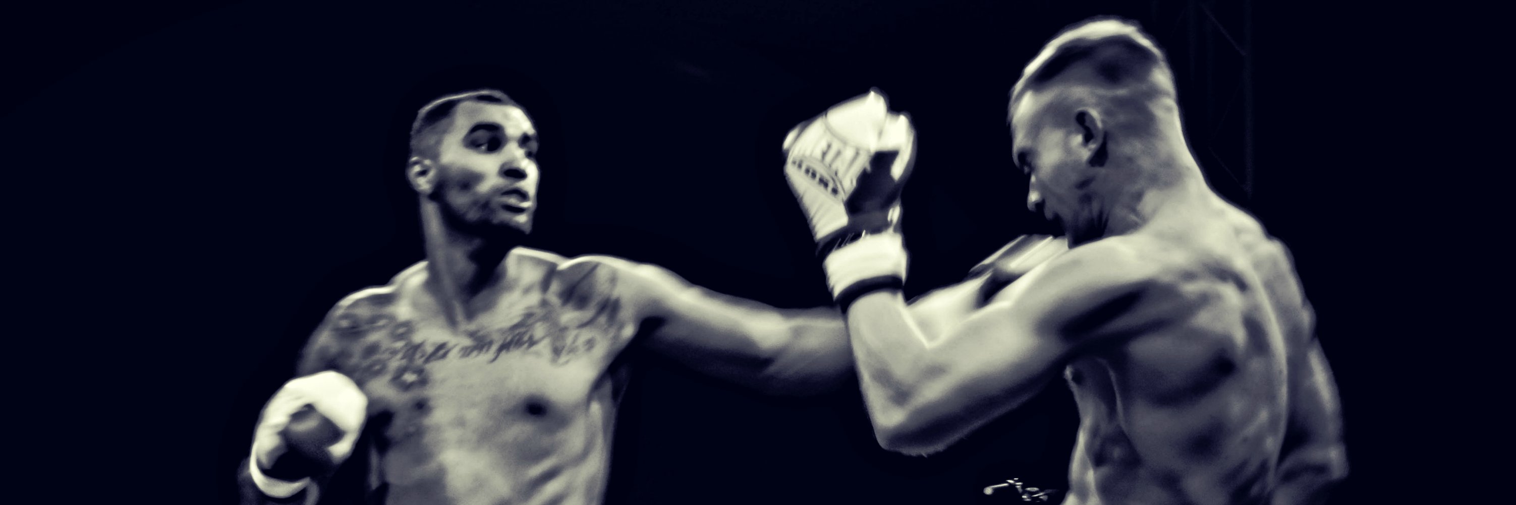 absolufight's profile banner image