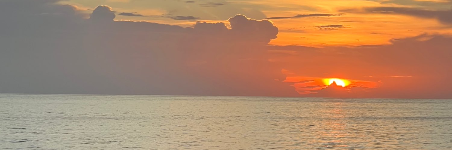 Mitch-A-Palooza banner