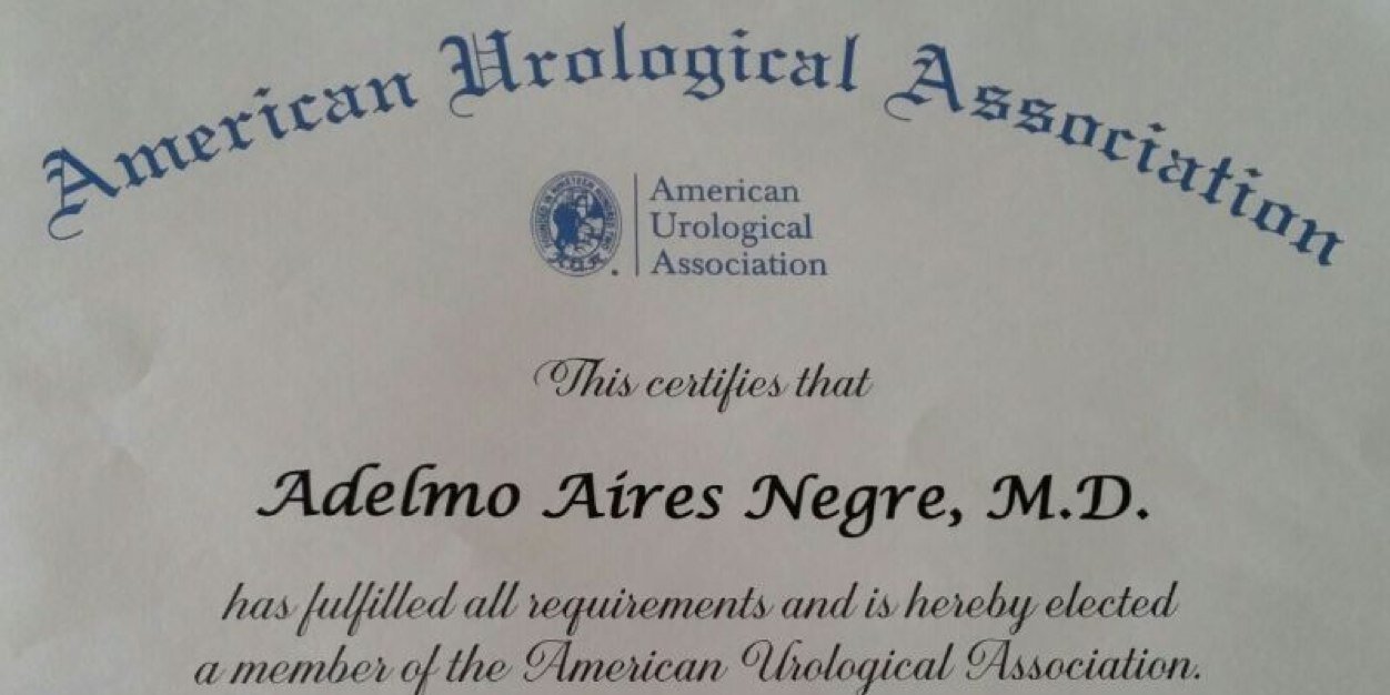 ADELMOUROLOGIA's profile banner image