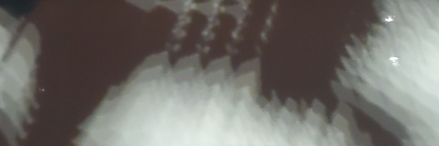 eslags1's profile banner image