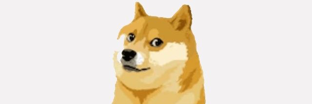 Dogekeeper1's profile banner image
