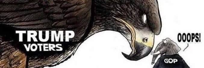 Marcy 🇺🇸🌲⚓️🦅☦️ banner