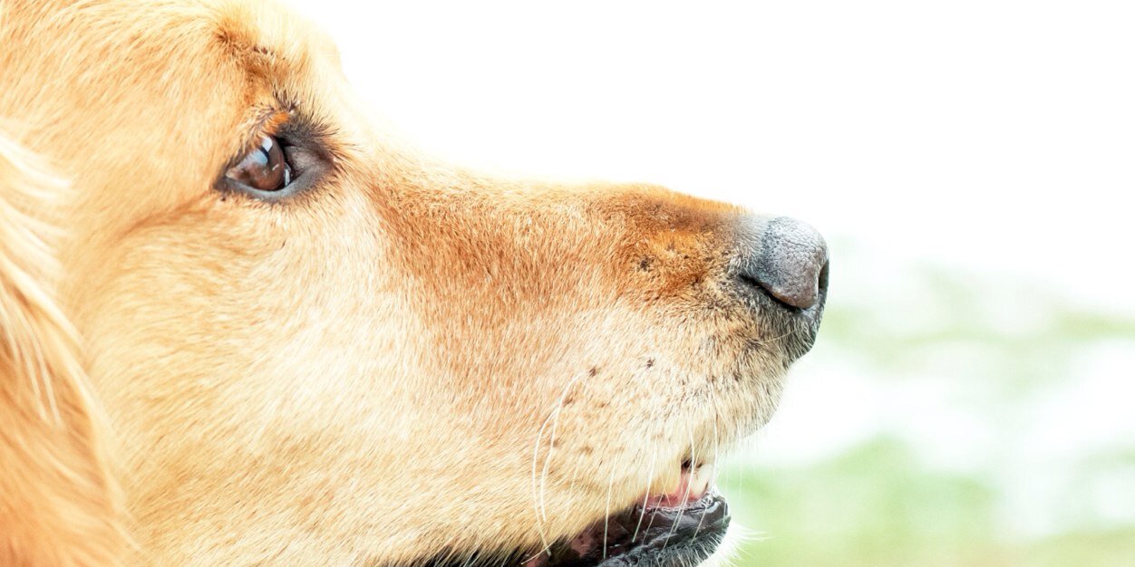 LindsayLutz's profile banner image
