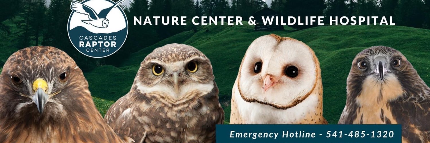 raptortweets's profile banner image