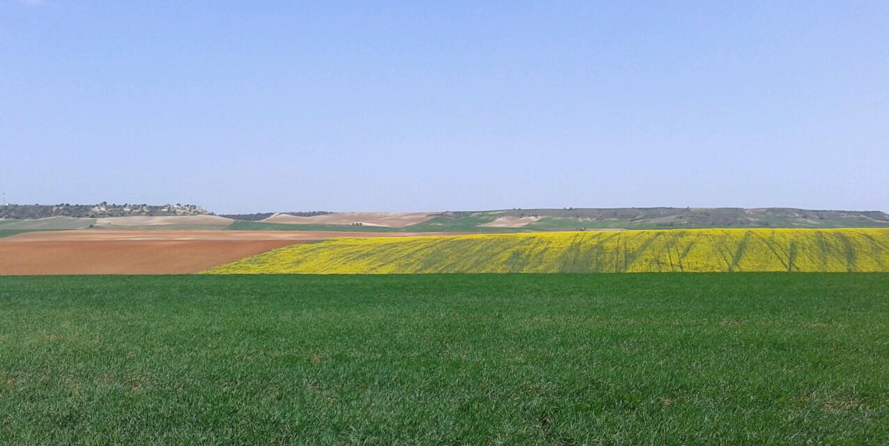 CAIZALESTEFAN's profile banner image