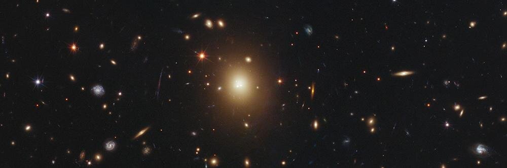 Brendan Costello Jr. banner