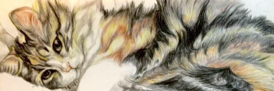 dmorenoto's profile banner image