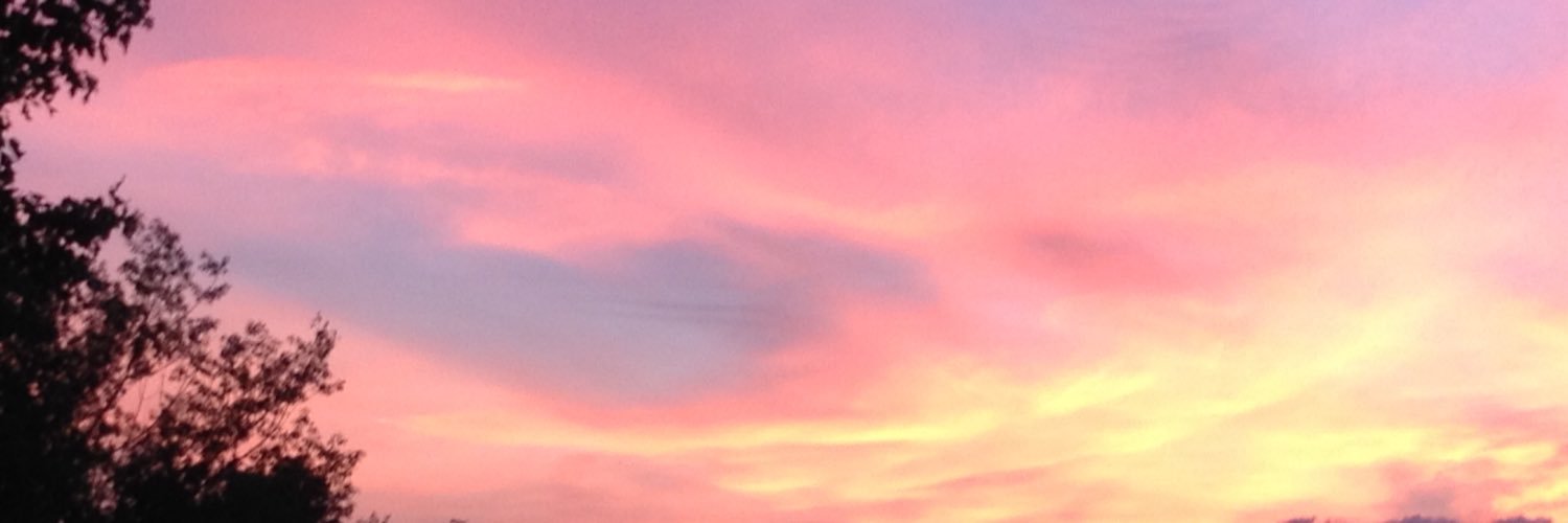 lesliebcoman's profile banner image