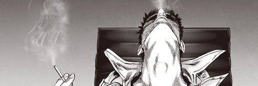 Jelgard banner