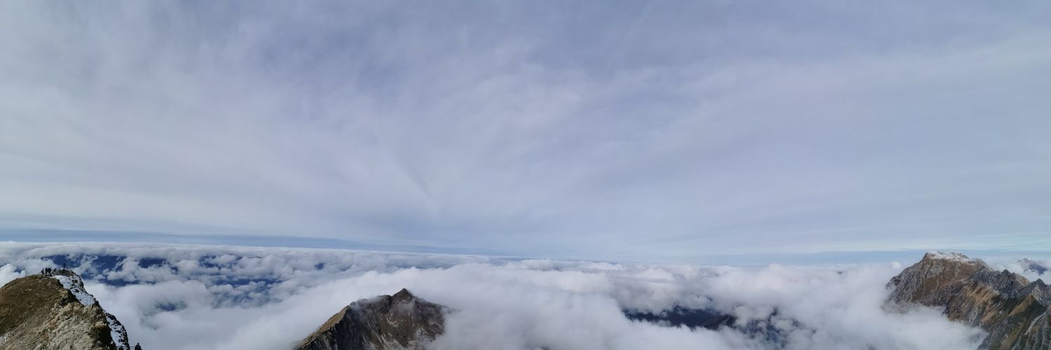 Kryptocopteryx's profile banner image