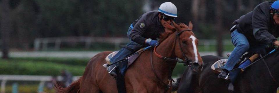 Cheryl 🇺🇦🙏🇺🇸🙏 banner