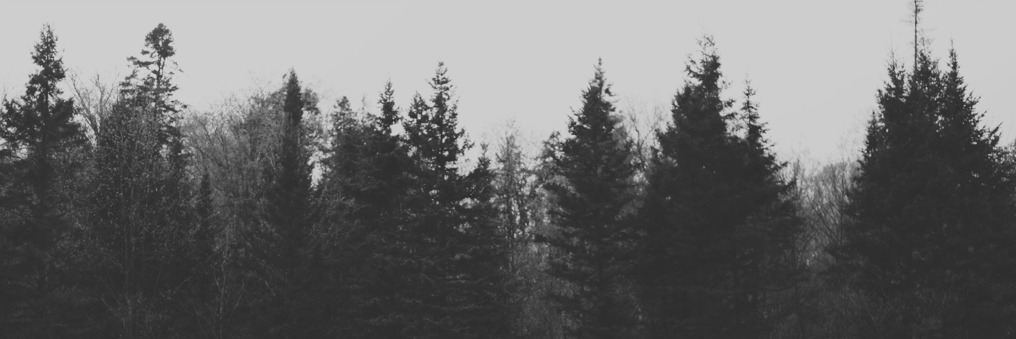 kaleighwatts's profile banner image