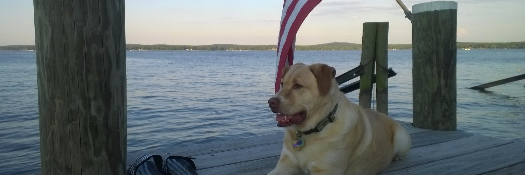 Christine Schultz banner