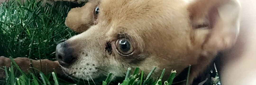 pancakee7's profile banner image
