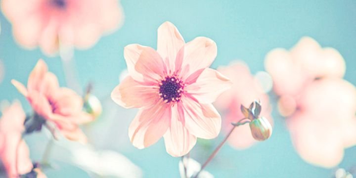gabii_soy's profile banner image