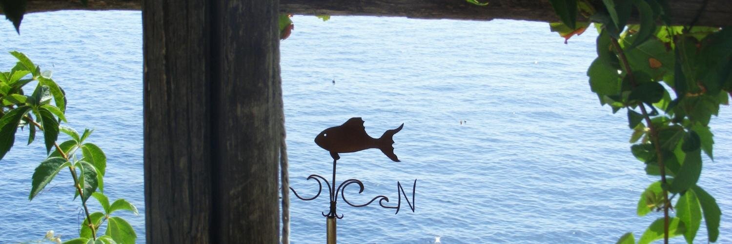 acia54's profile banner image