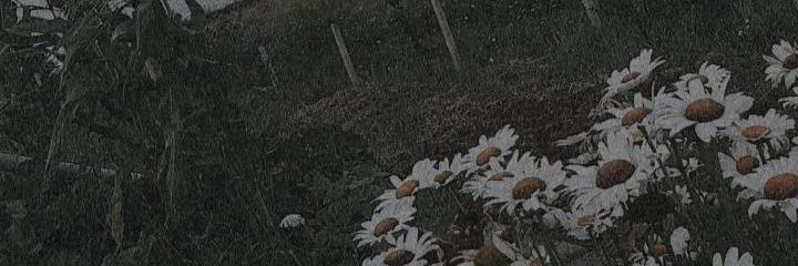 onurozzer41's profile banner image