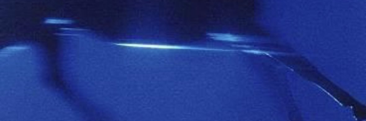 thiago duque banner