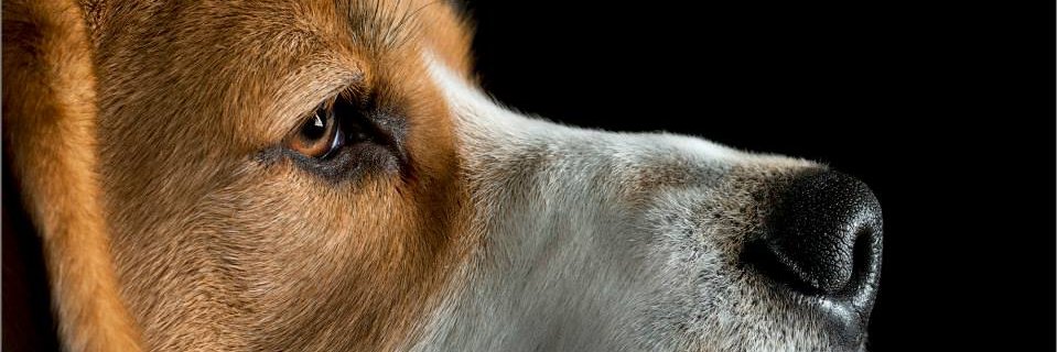 shortishy's profile banner image