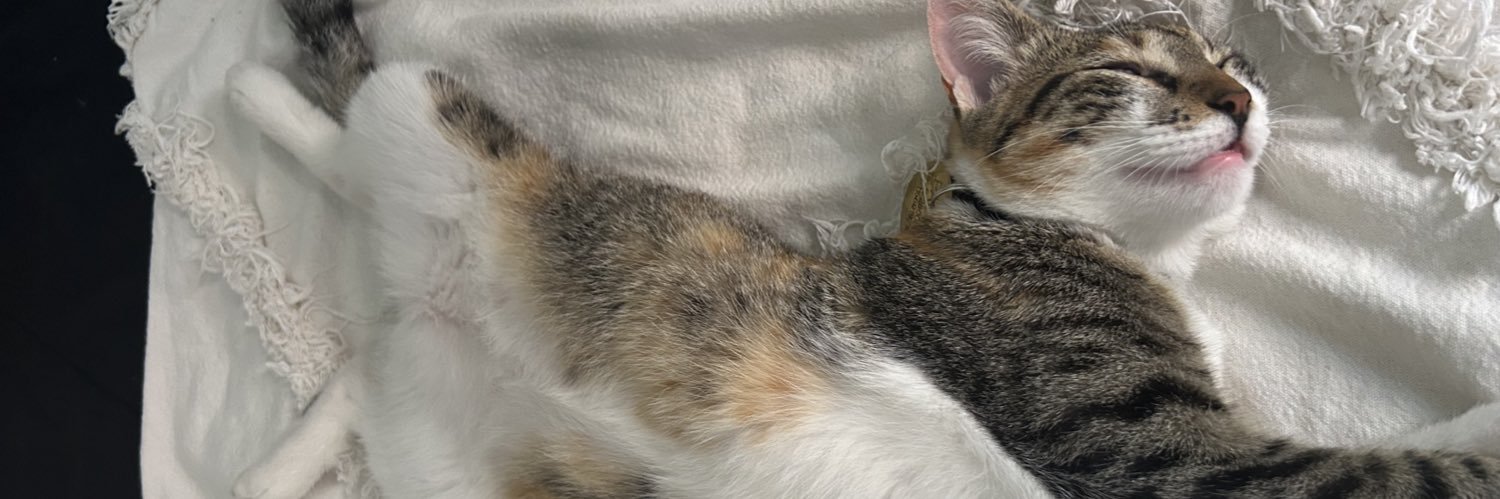 candelibre's profile banner image