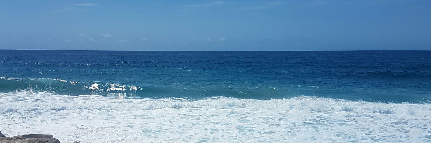 sandrapaolacoss's profile banner image