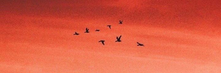 dpaloma2000's profile banner image