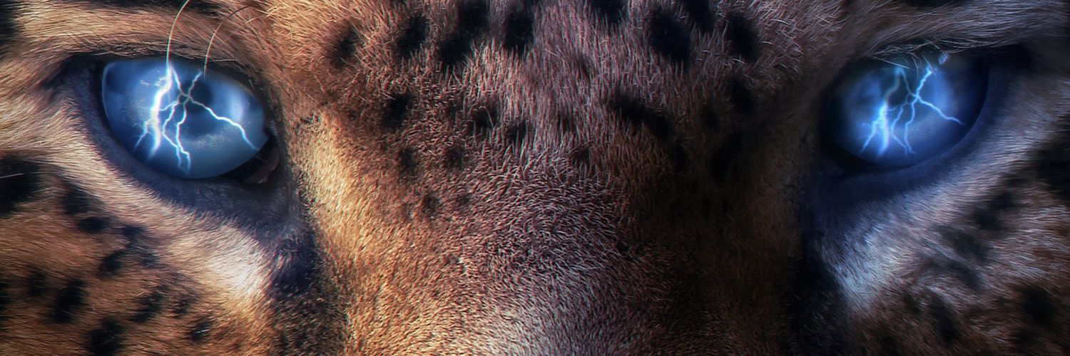 StylezMcKoolaid's profile banner image