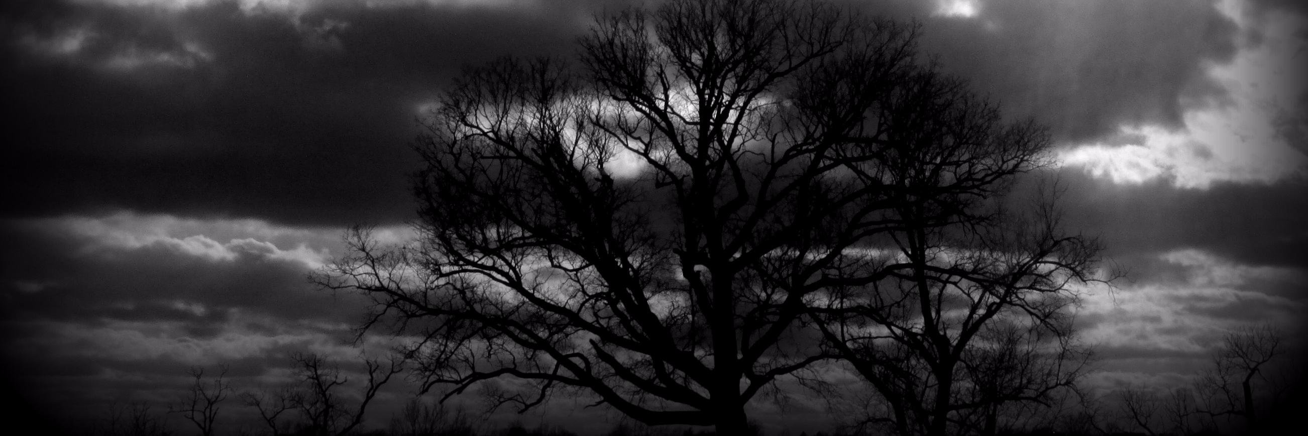 Thatgrlmeme's profile banner image