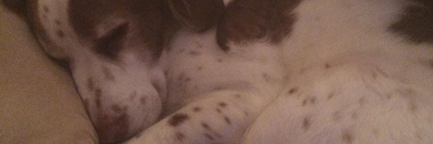 LeddyScott's profile banner image