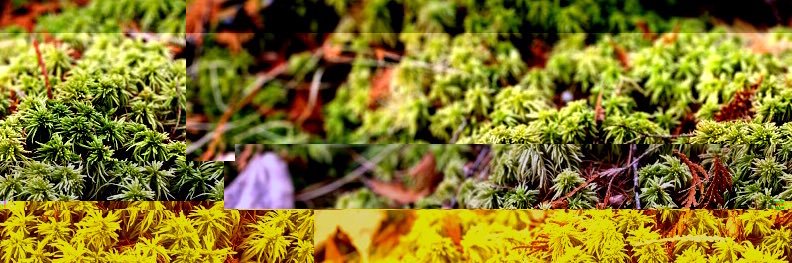 michaeldause's profile banner image