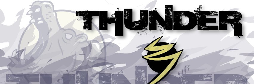 ThunderUlti's profile banner image