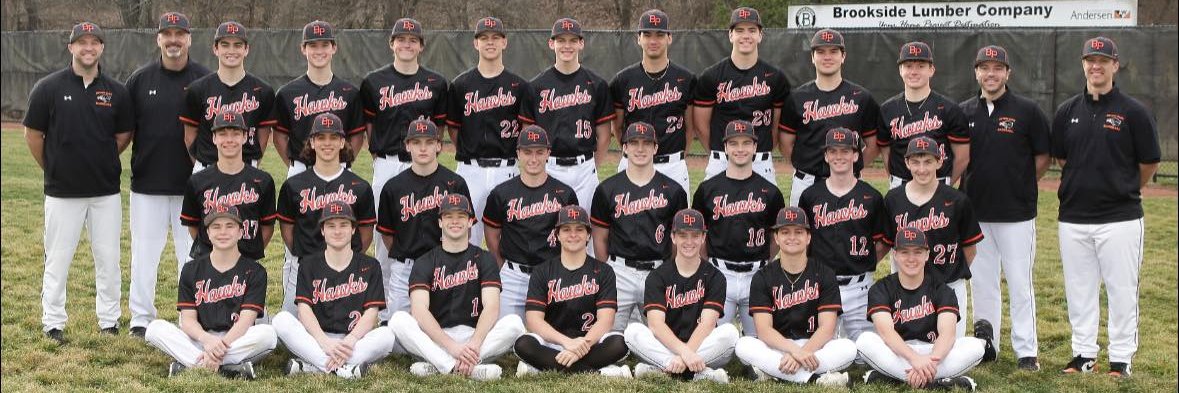 Bethel Park Hawks Baseball banner