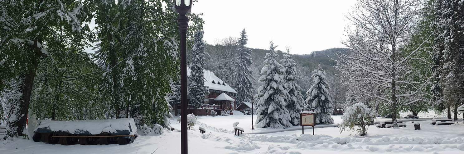 Kristijan Paljar banner