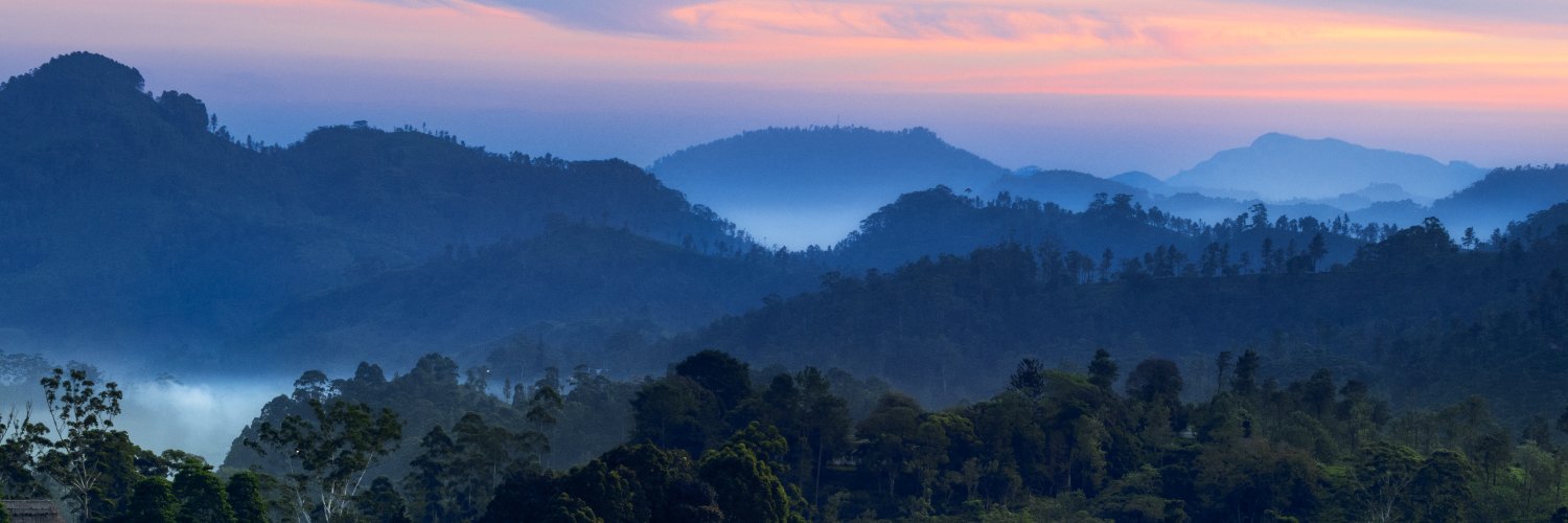 Francesco Tempesta banner