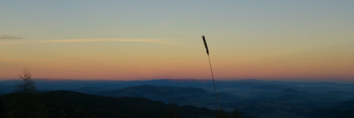 Mirell429's profile banner image