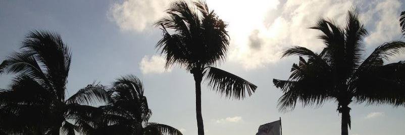 thaliaperzabal's profile banner image