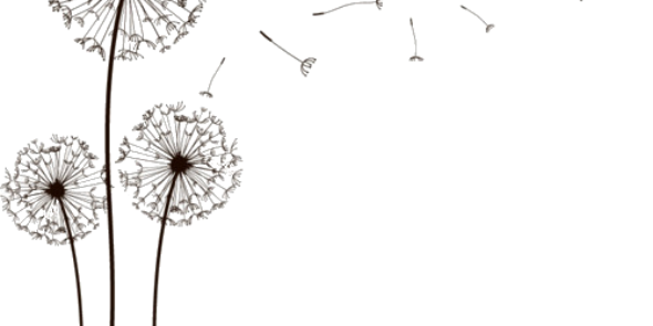 yuliakadek's profile banner image