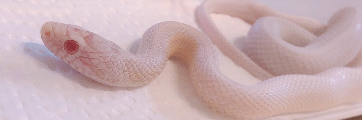 monom20's profile banner image