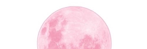 chloevirgdsl's profile banner image