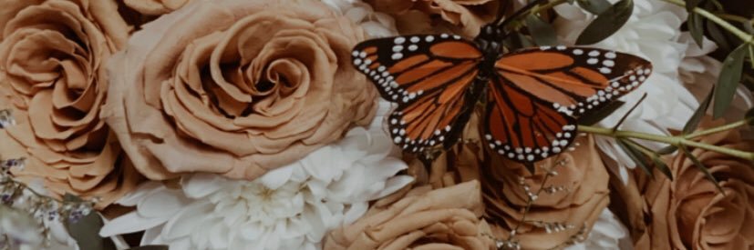 Verniie_'s profile banner image