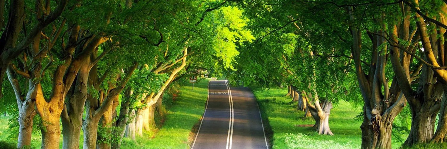 CMSESings's profile banner image