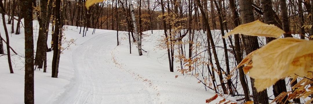 WhileWinter's profile banner image
