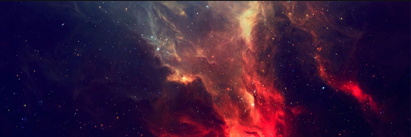d_artelle's profile banner image