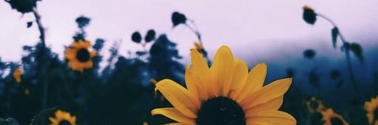 Becca98A's profile banner image