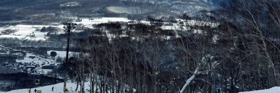 nybmc's profile banner image