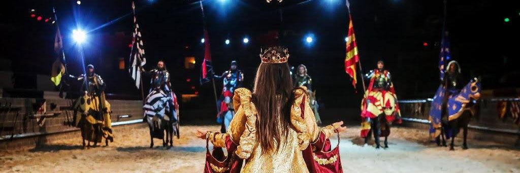Medieval Times FL banner