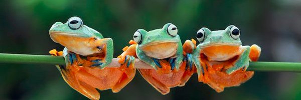 ethicos2013 Profile Banner